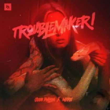 Trouble Maker - Jassa Dhillon