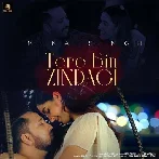 Tere Bin Zindagi - Mika Singh