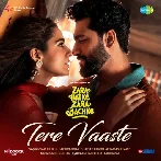 Tere Vaaste (Zara Hatke Zara Bachke)