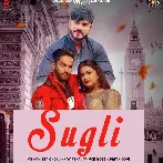 Sugli - Vishvajeet Choudhary