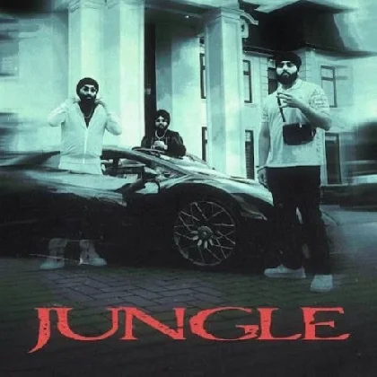 Jungle - Inderpal Moga