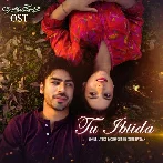 Tu Ibtida - Sibte Hassan