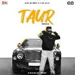 Taur - Dilpreet Dhillon