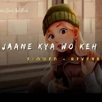 Jane Kya Wo Keh Gayi (Slowed Reverb)