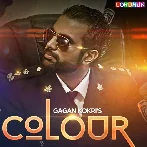 Colour - Gagan Kokri