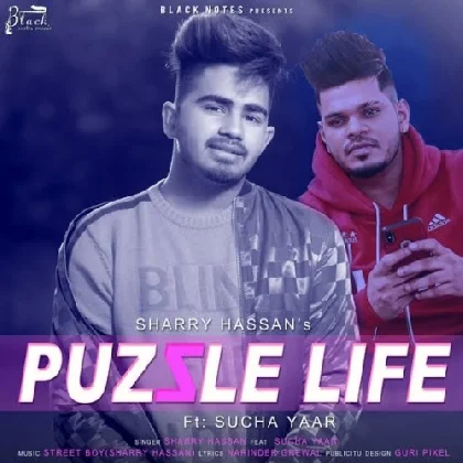 Puzzle Life - Sharry Hassan