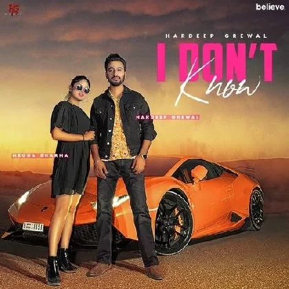 I Dont Know - Hardeep Grewal