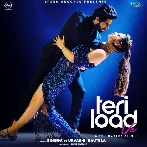 Teri Load Ve - Singga