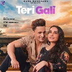 Teri Gali - Barbie Maan