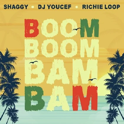 DJ Youcef, Shaggy, Richie Loop - Boom Boom Bam Bam