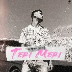 Teri Meri - Mickey Singh