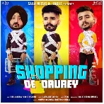 Shopping De Daurey - The Landers