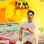 Tu Na Jaane - Harrdy Sandhu