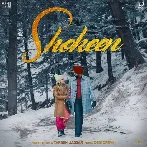 Shokeen - Tarsem Jassar