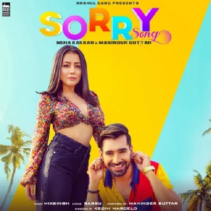 Sorry Song - Neha Kakkar