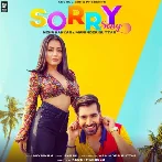 Sorry Song - Neha Kakkar