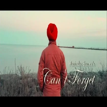 Cant Forget - Harinder Samra