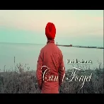 Cant Forget - Harinder Samra