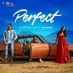 Perfect - Badshah