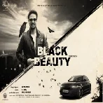 Black Beauty - Surkhabb