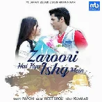 Zaroori Hai Kya Ishq Mein - Papon