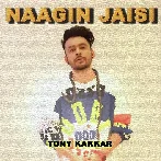 Naagin Jaisi - Tony Kakkar