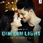 Dim Dim Light - Rahul Jain