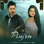 Pinjra - Yasser Desai