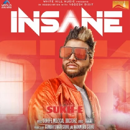 Insane - Muzical Doctorz Sukh-E