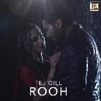 Rooh - Tej Gill