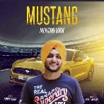 Mustang - Mehtab Virk