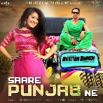 Saare Punjab Ne - Neha Kakkar