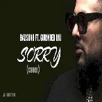 Sorry (Cover) - Badshah n Gurinder Rai