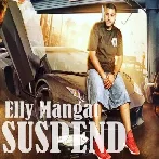 Suspend - Elly Mangat