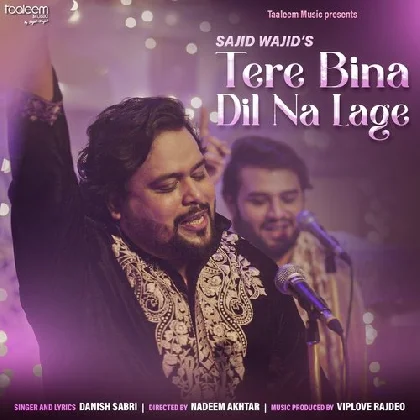 Tere Bina Dil Na Lage - Danish Sabri