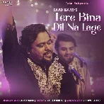 Tere Bina Dil Na Lage - Danish Sabri