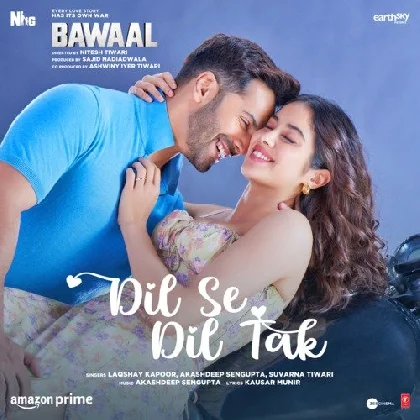 Dil Se Dil Tak (Bawaal)