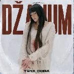 Damnum - Teya Dora