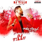 DJ Tillu Title Song (Hindi) - Mika Singh