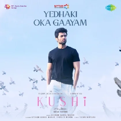 Yedhaki Oka Gaayam (Kushi)