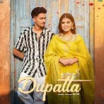 Dupatta - Lucas