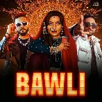 Bawli - DG IMMORTALS