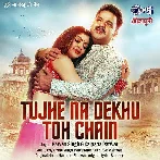 Tujhe Na Dekhu Toh Chain - Pawan Singh