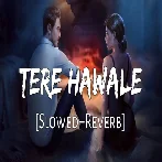 Tere Hawale (Slowed Reverb)