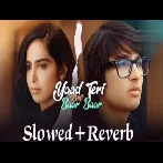 Yaad Teri Aaye Baar Baar (Slowed Reverb)