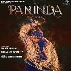 Parinda Paar Geya Title Track