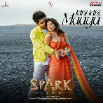 Idhi Idhi Maaya (Spark)