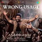 Wrong Usage (Saindhav)