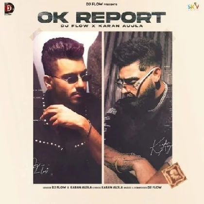 Ok Report - DJ Flow