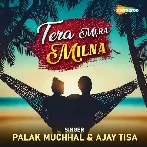 Tera Mera Milna - Palak Muchhal